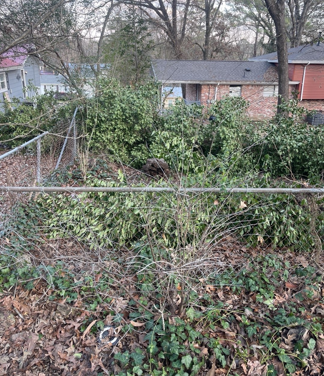 Yard fully cleared and cleaned up after storm tree removal