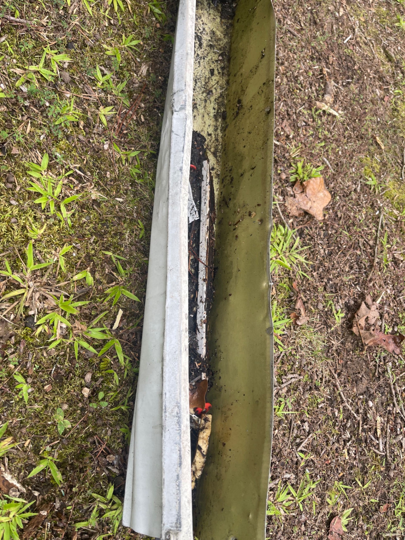 Rotted fascia board and gutter damage documented before repair