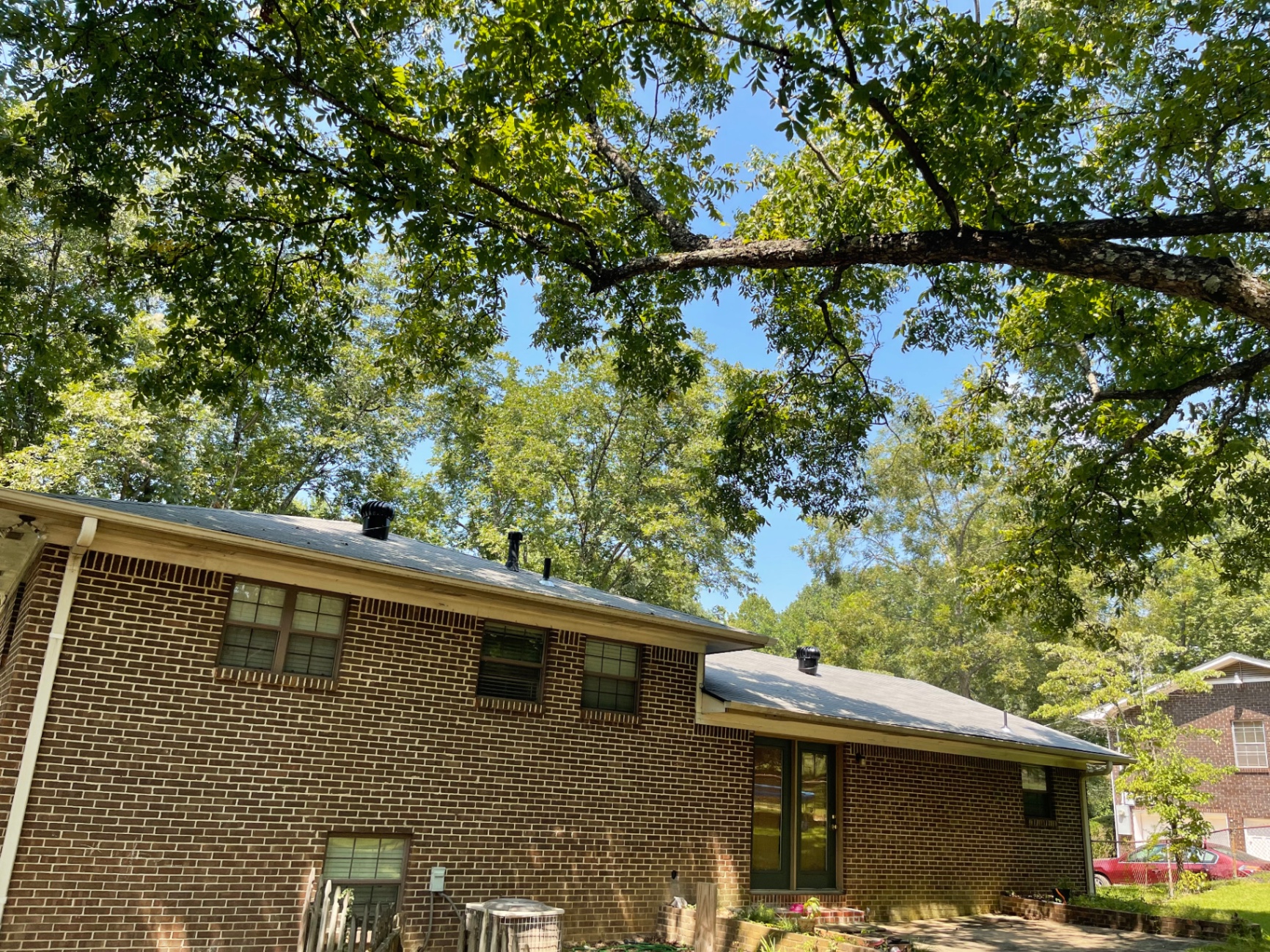 Rear view of a brick home showing the roofline beneath a large tree canopy during inspection