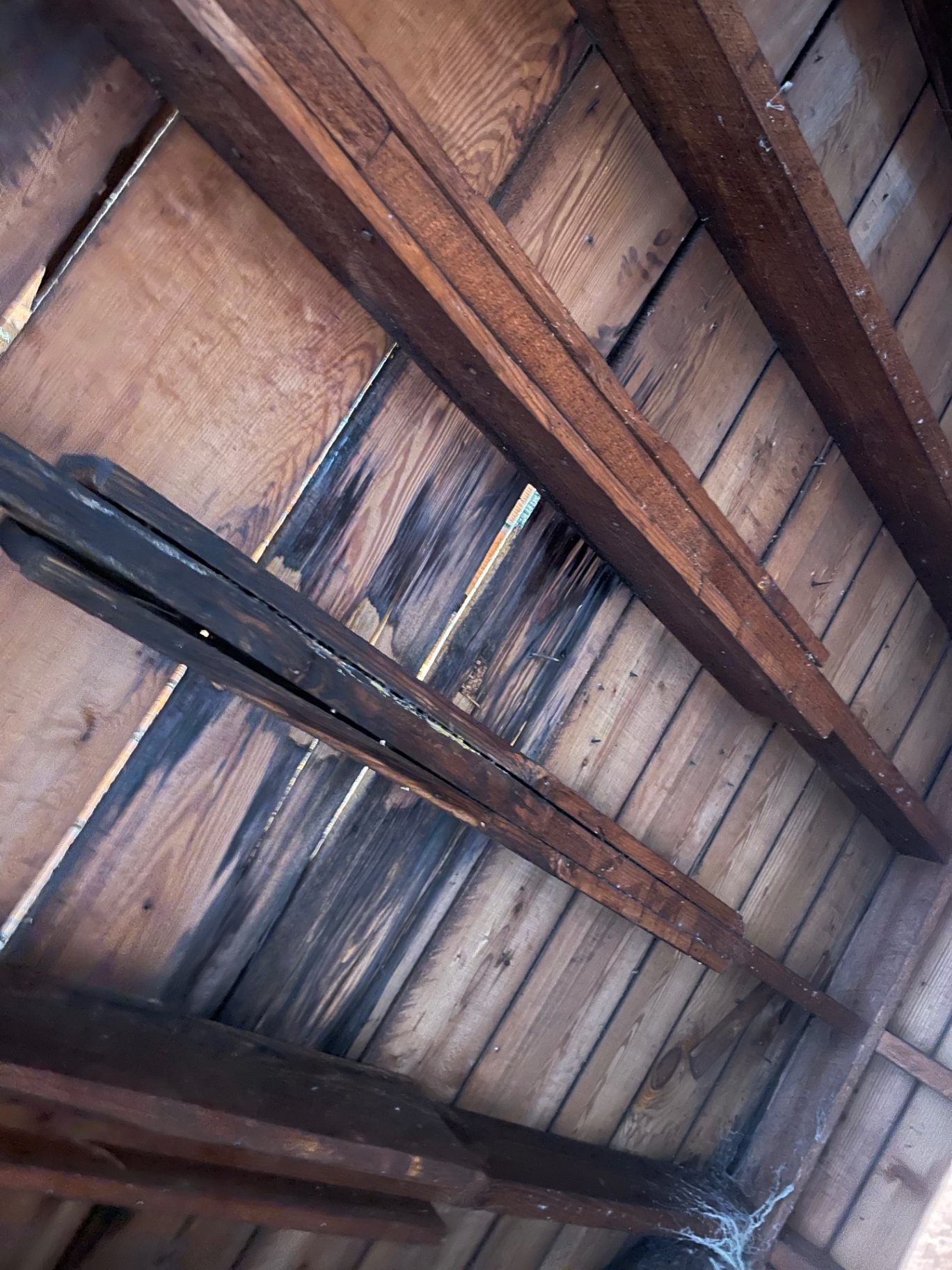 Eagle Roofing project photo