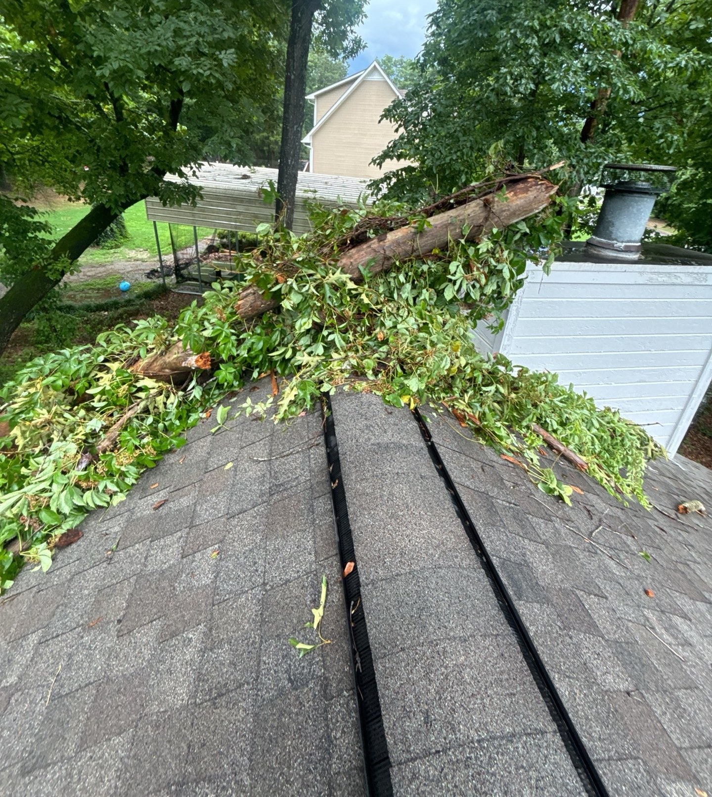 Large fallen tree resting across a damaged roof before emergency removal